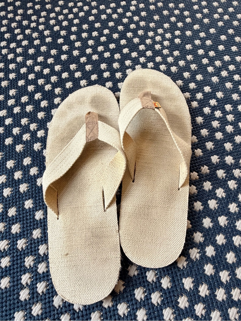 Rainbow Natural Canvas Flip-Flop Sandals in Beige - men